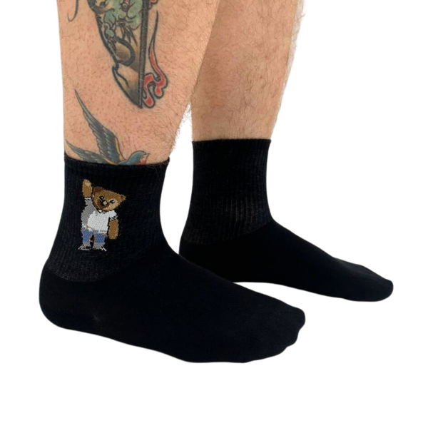 Men's socks PIER LONE 0301